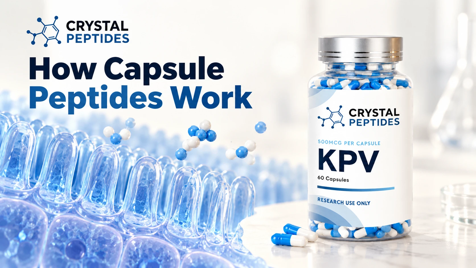 Steklenička kapsul KPV znamke Crystal Peptides ob konceptualni ponazoritvi črevesne površine.