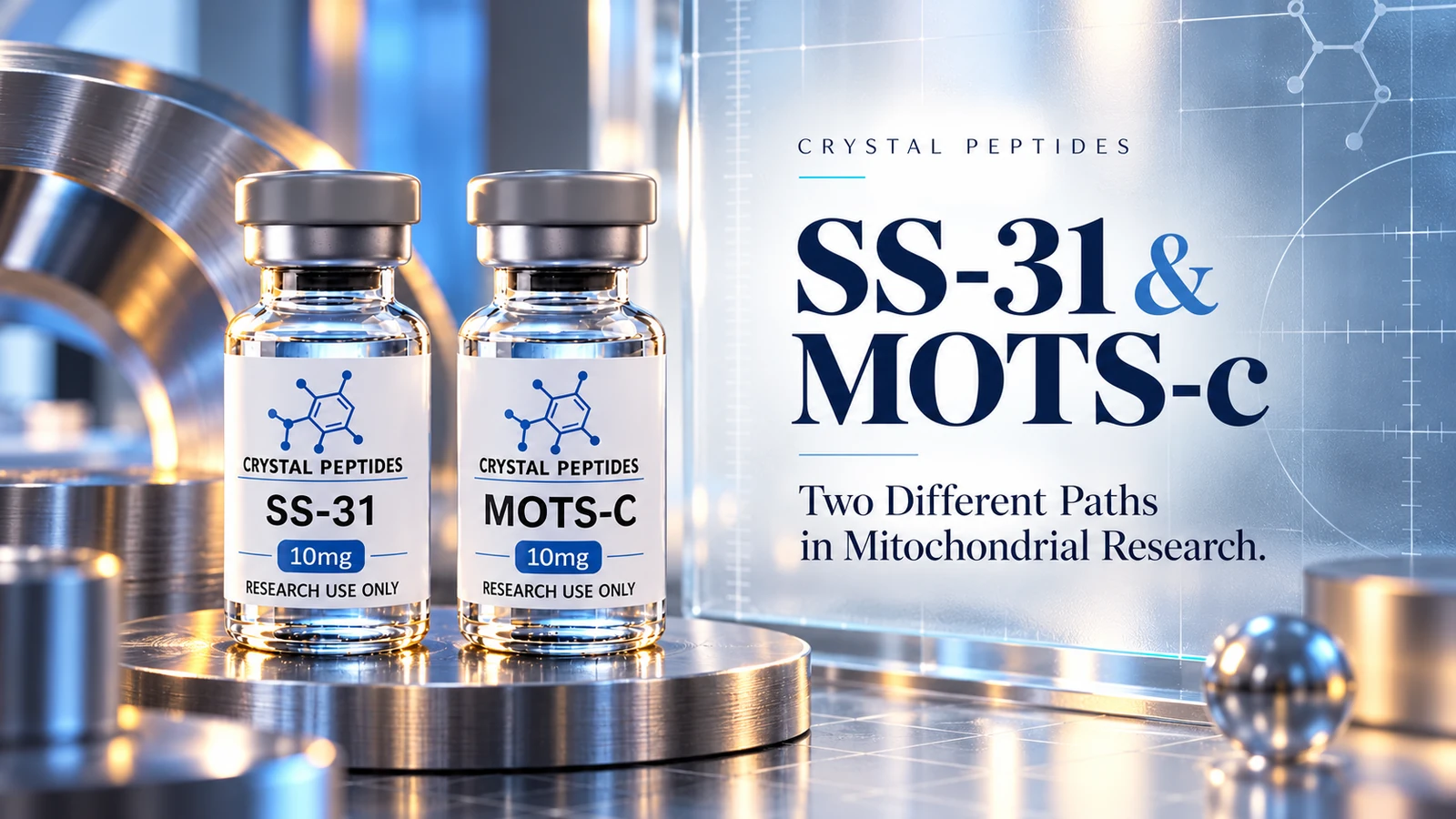 Uredniška ilustracija izdelka: SS-31 / MOTS-c — Crystal Peptides.